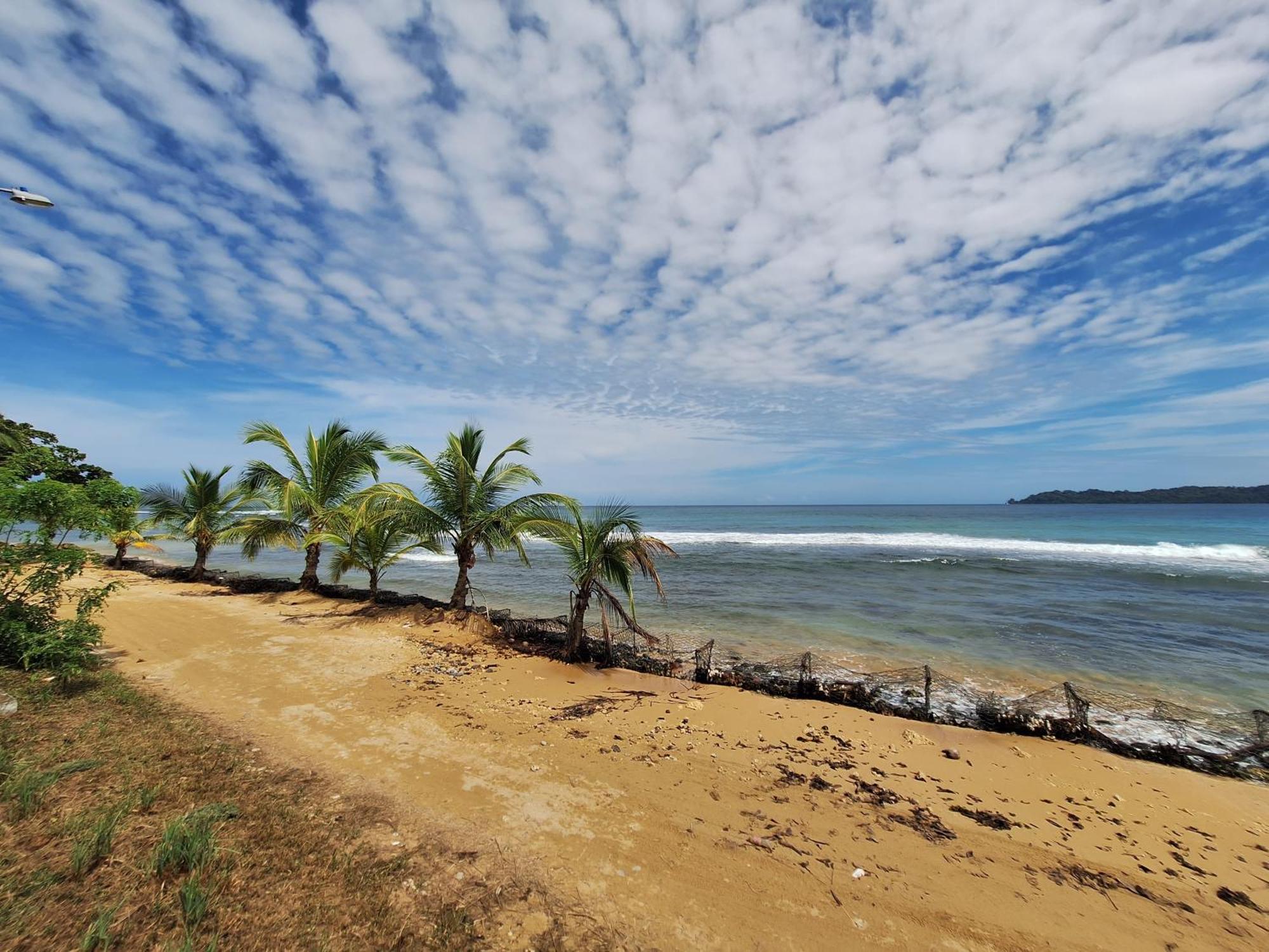 Paunch Beach Retreat โบกัสทาวน์ ภายนอก รูปภาพ