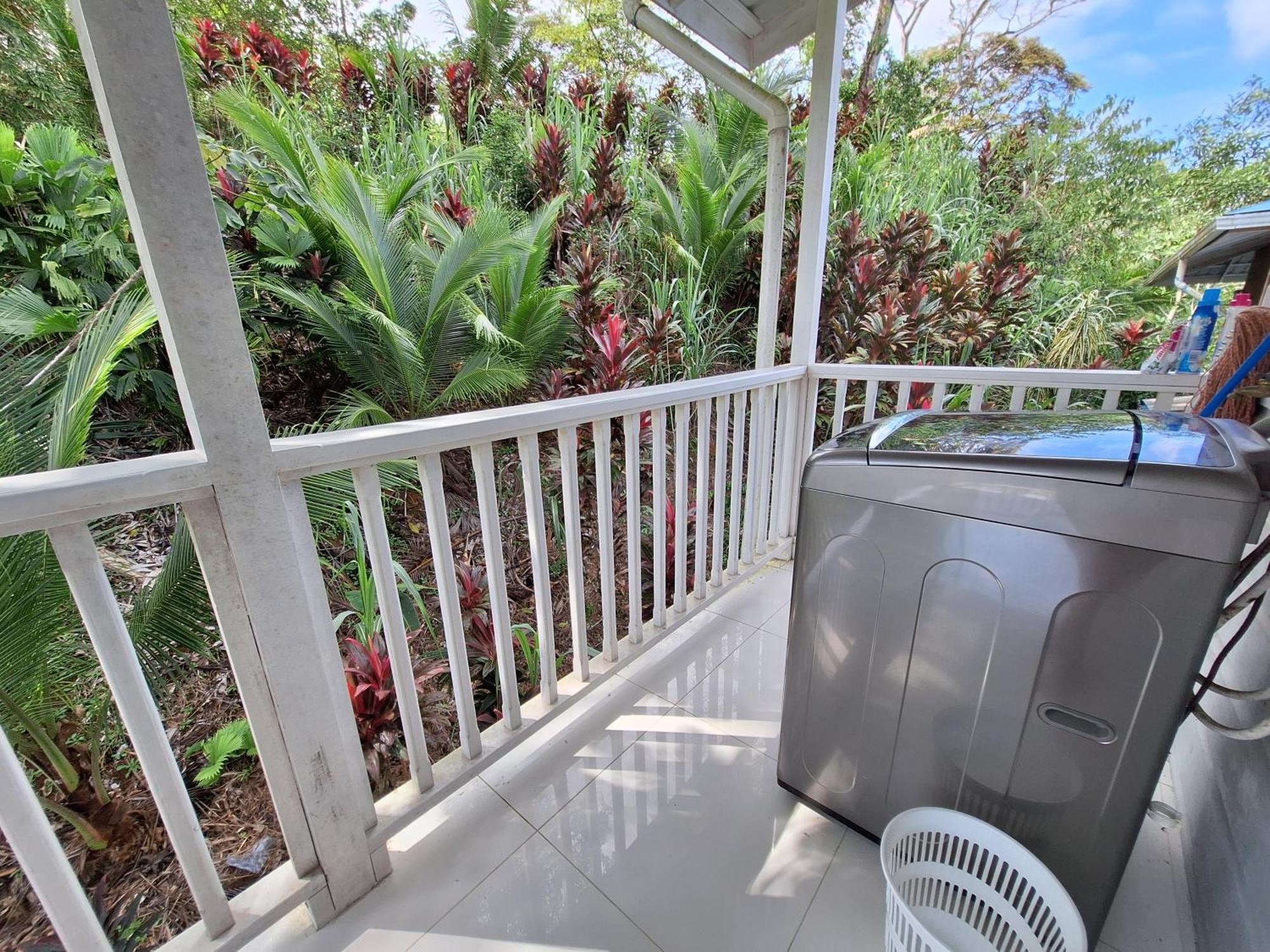 Paunch Beach Retreat โบกัสทาวน์ ห้อง รูปภาพ